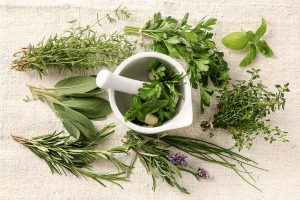 7 cây thuốc nam thường dùng cho người mất ngủ