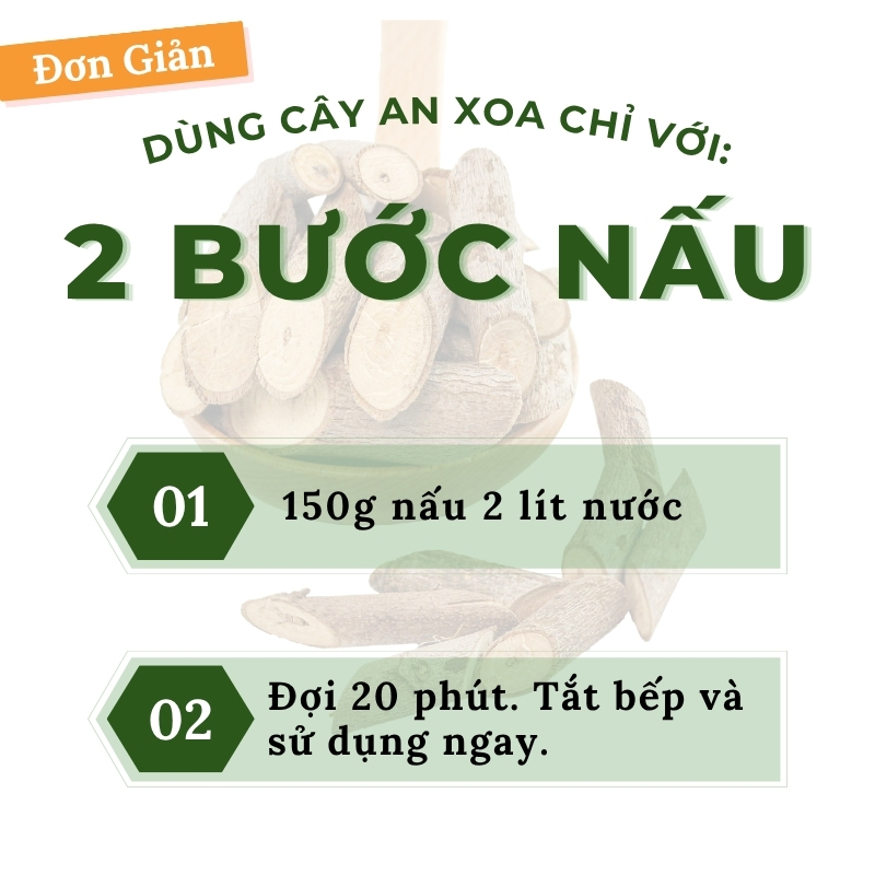 Cây an xoa khô hỗ trợ gan, men gan cao (Sao chép)