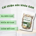 Cây an xoa khô hỗ trợ gan, men gan cao (Sao chép)
