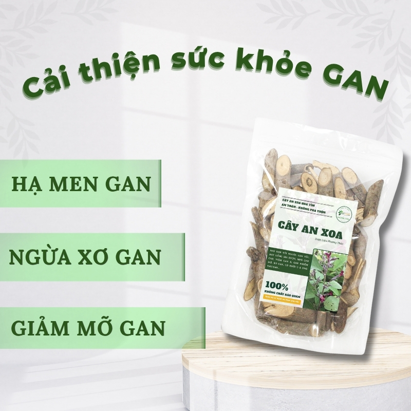 Cây an xoa khô hỗ trợ gan, men gan cao (Sao chép)