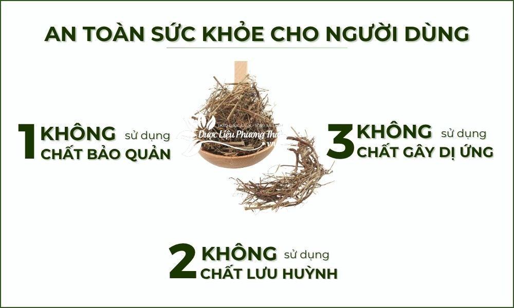 công dụng diệp hạ châu