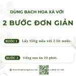 Bạch hoa xà (cỏ lưỡi rắn trắng, xà thiệt thảo)