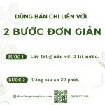 Bán chi liên (hoàng cầm râu, nha loát thảo)