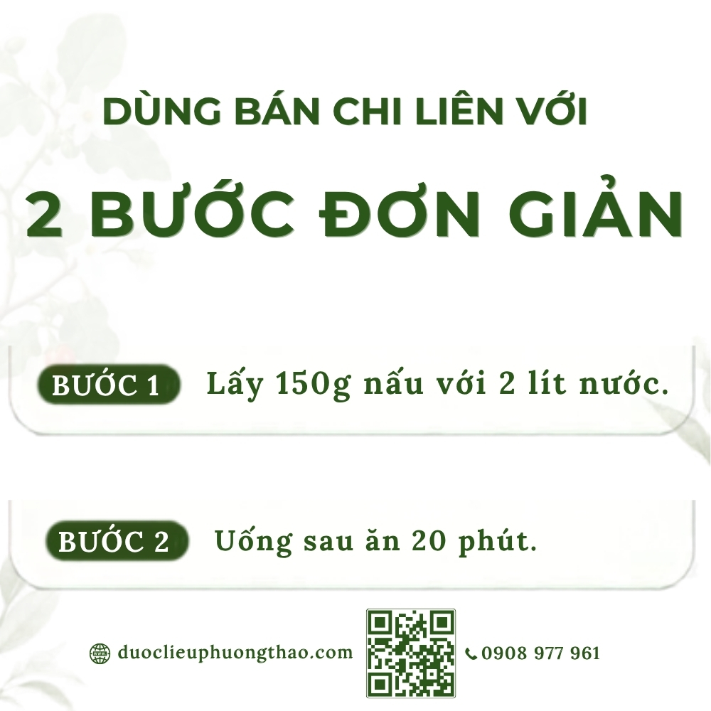 Bán chi liên (hoàng cầm râu, nha loát thảo)