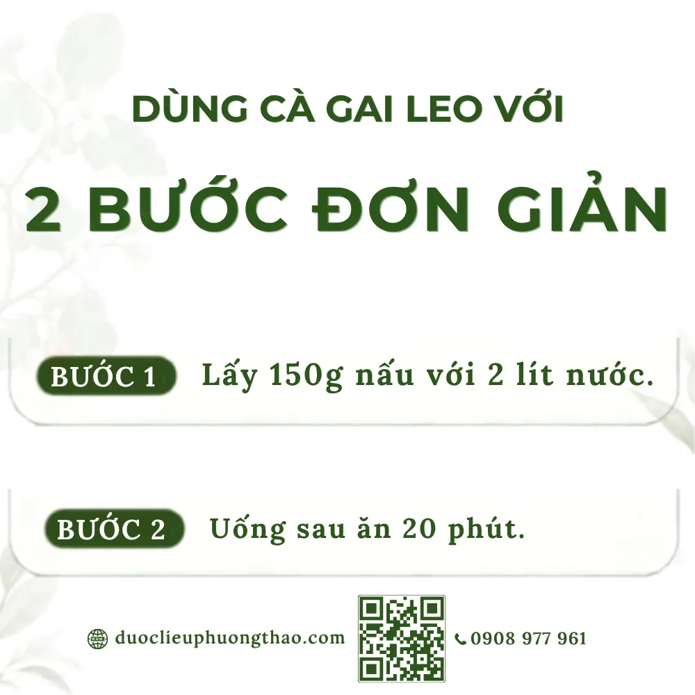 Cà gai leo (Cà gai dây, cà vạnh, cà quýnh)