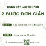 Cây lạc tiên (cây chùm bao, dây nhãn lồng, cây lồng đèn)