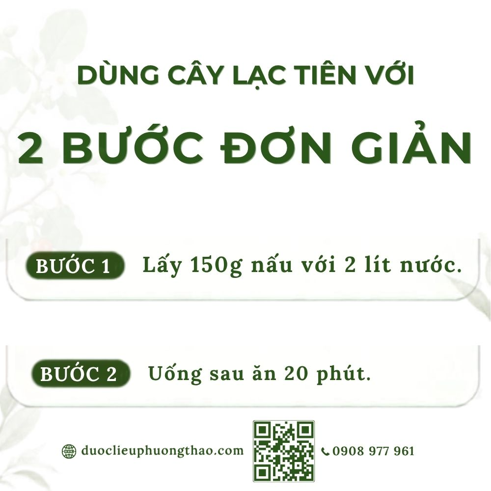 Cây lạc tiên (cây chùm bao, dây nhãn lồng, cây lồng đèn)