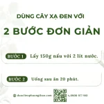 Cây xạ đen (Cây dây gối, Cây bách giải)