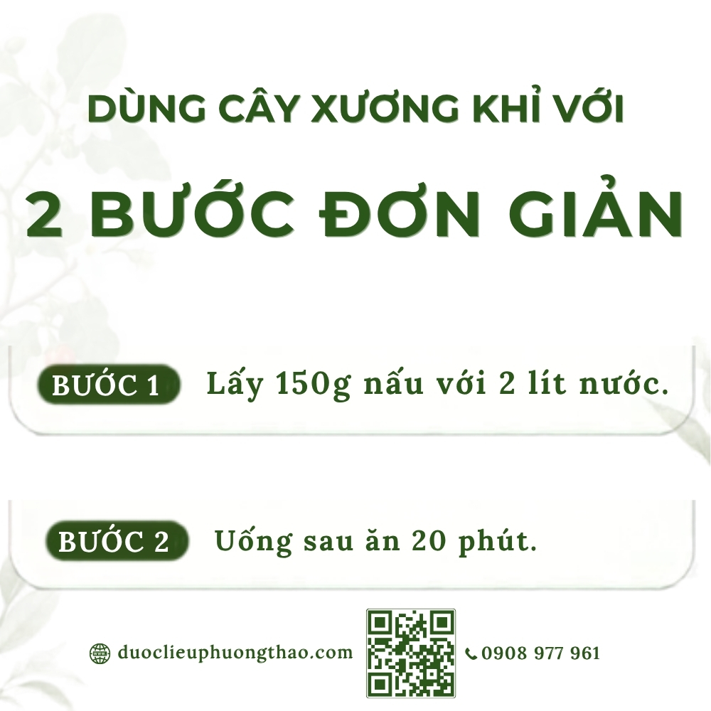Cây xương khỉ (cây bìm bịp, cây mảnh cộng)