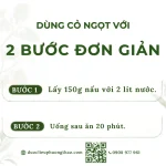Cỏ ngọt (cỏ đường, cỏ mật, diệp lộ thảo)