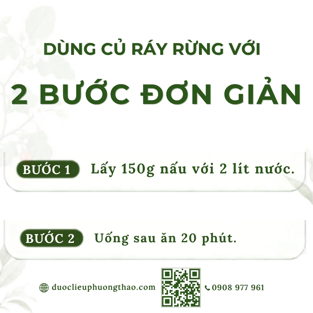 Củ ráy rừng (ráy dại, khoai sáp)