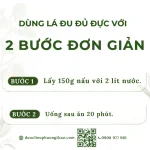 Lá đu đủ đực ( lá cà lào, lá phan qua thụ)