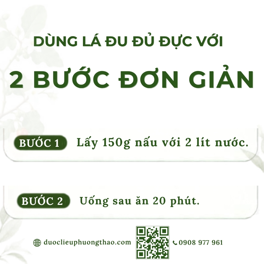 Lá đu đủ đực ( lá cà lào, lá phan qua thụ)