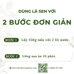 Lá sen (liên diệp, hà diệp)