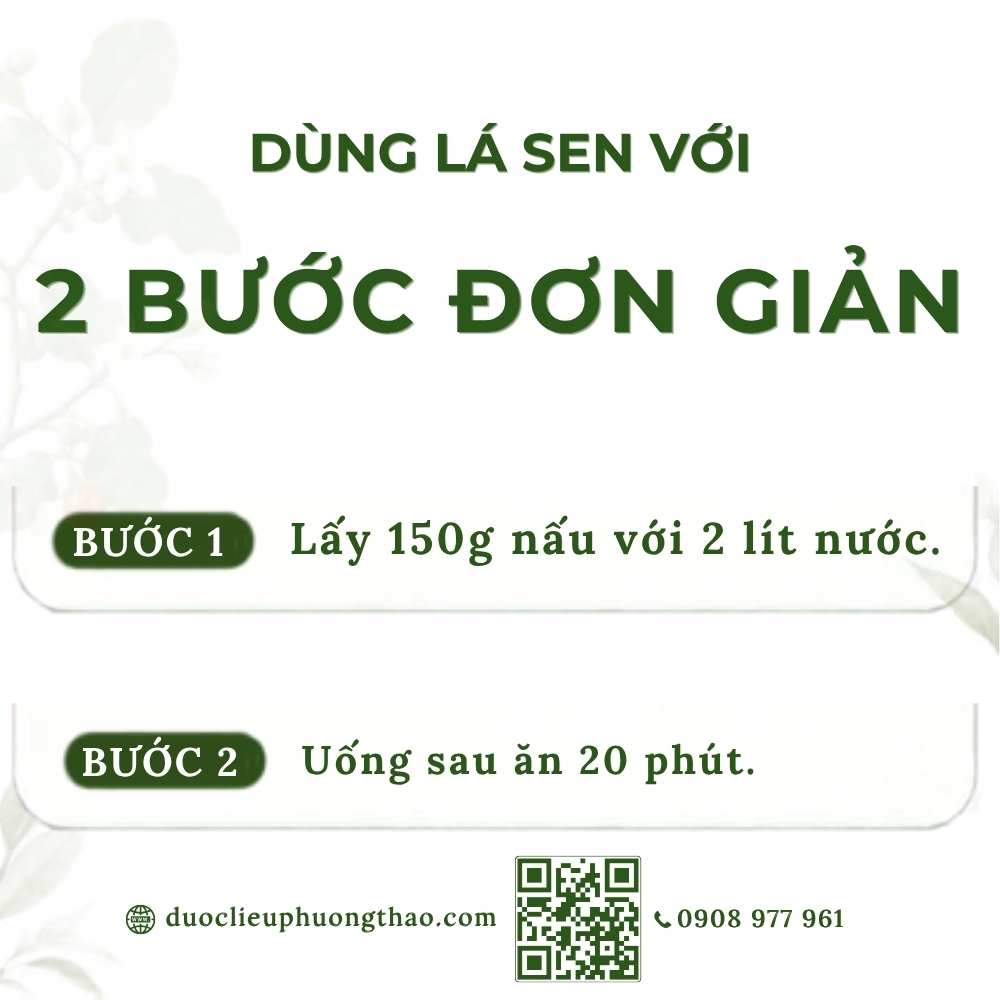 Lá sen (liên diệp, hà diệp)