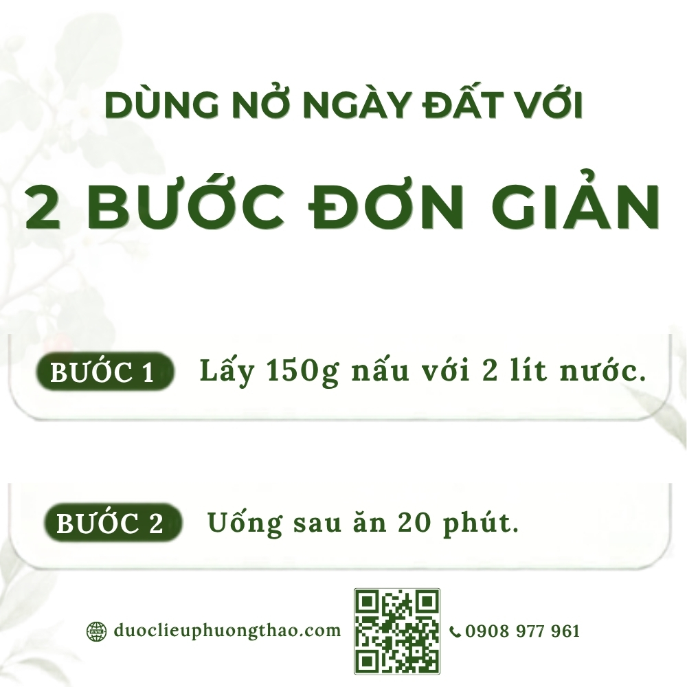 Nở ngày đất (cúc dại, cây nở ngày, bông nở ngày đất)