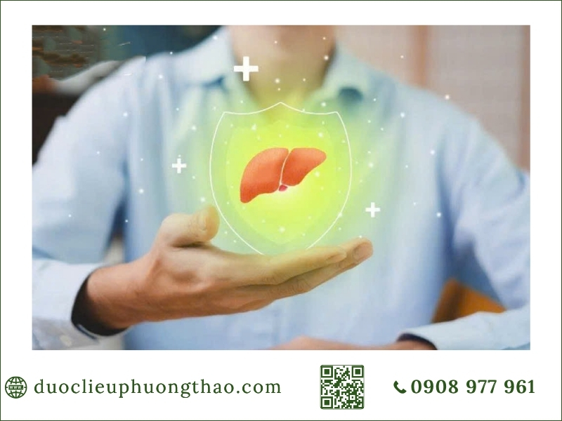 các phương pháp chăm sóc và hỗ trợ sức khỏe gan