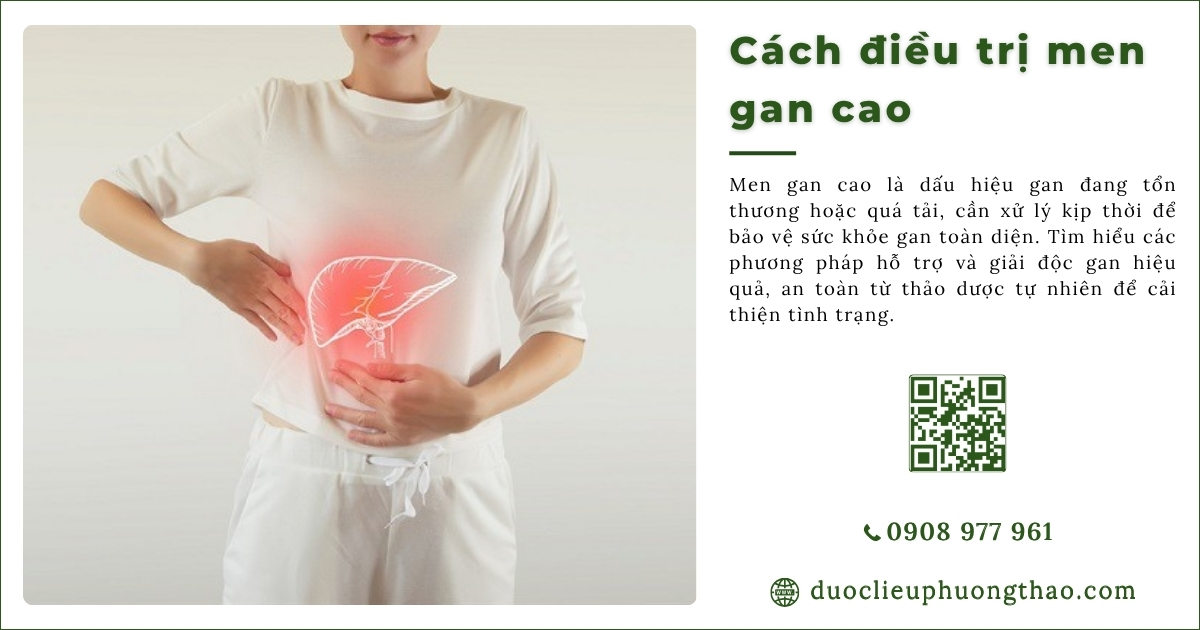 cách điều trị men gan cao