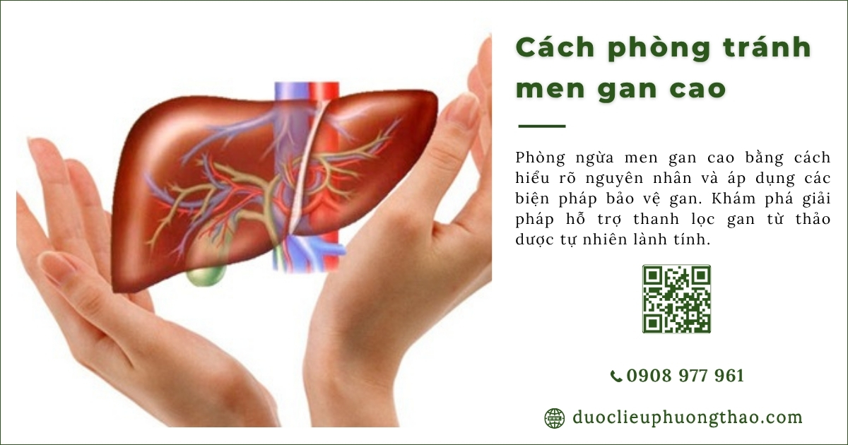 cách phòng tránh men gan cao