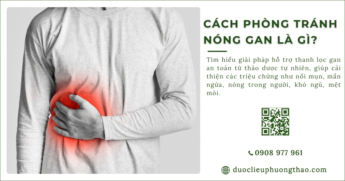 cách phòng tránh nóng gan