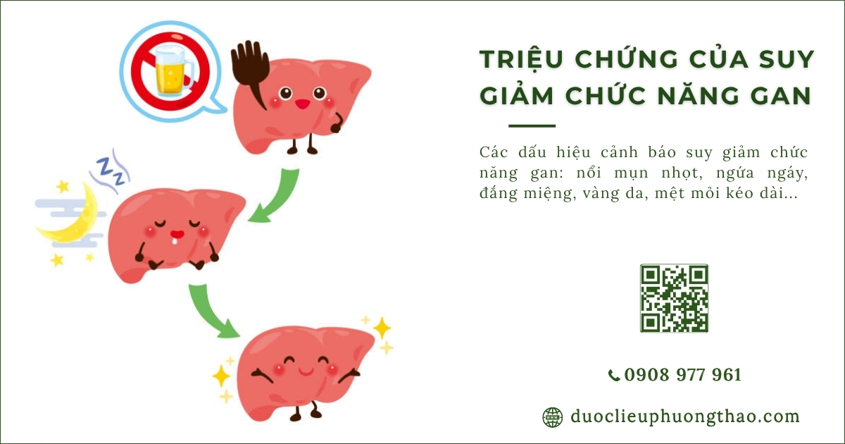 triệu chứng suy giảm chức năng gan
