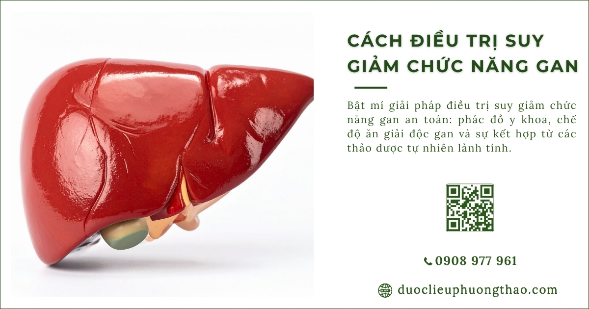 điều trị suy giảm chức năng gan