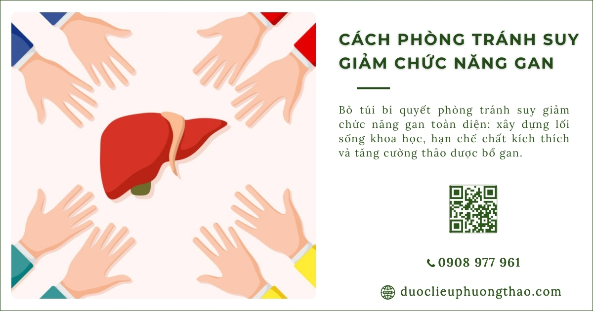 phòng tránh suy giảm chức năng gan