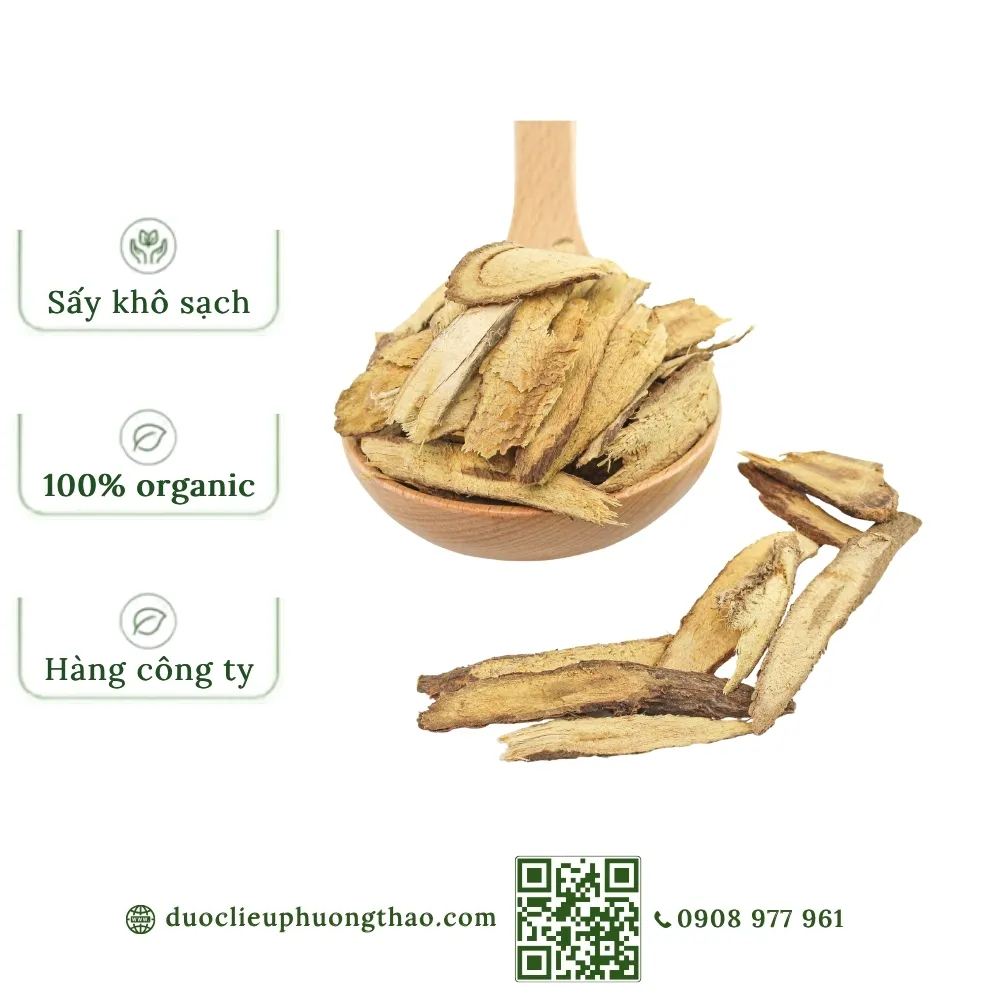 Cam thảo (cam thảo bắc, lộ thảo)