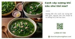 Cách nấu canh cây xương khỉ thế nào để dễ ăn, giữ được vị tự nhiên?