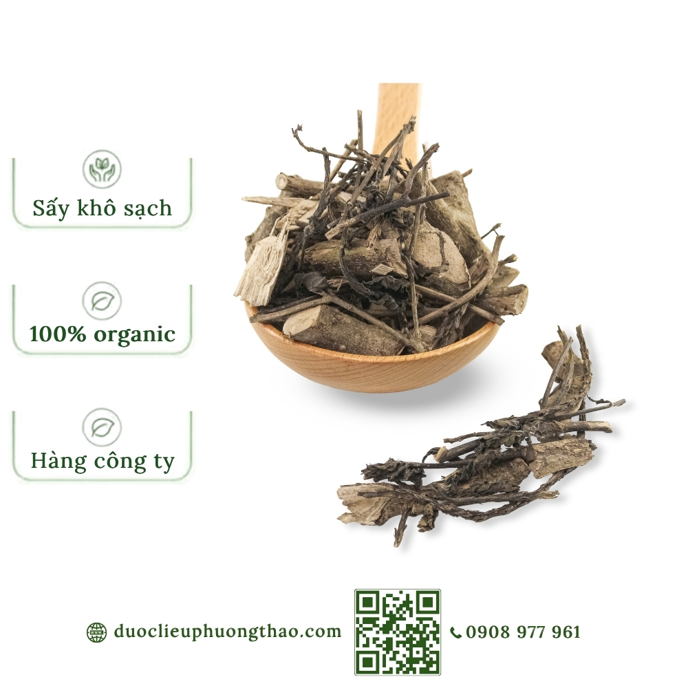Cây đuôi chuột (cỏ đuôi chuột, đuôi chuột tím)