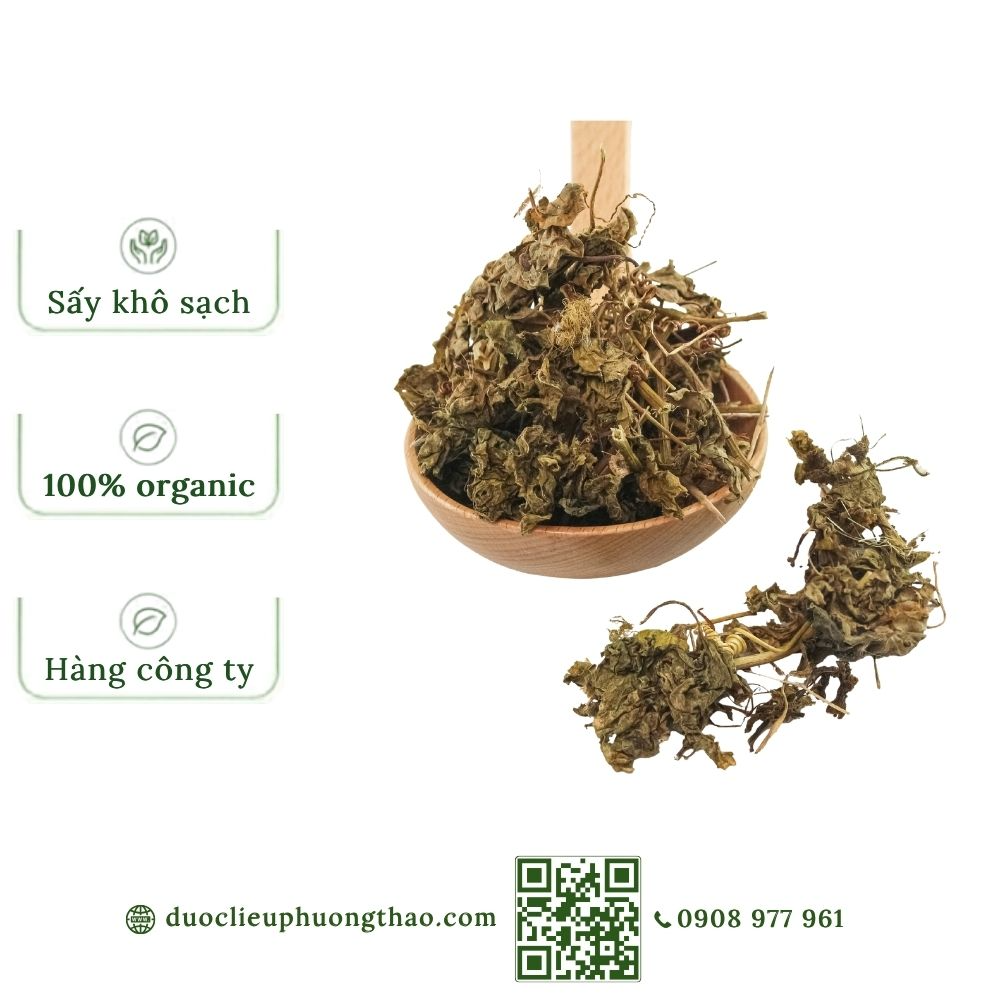 Cây lạc tiên (cây chùm bao, dây nhãn lồng, cây lồng đèn)