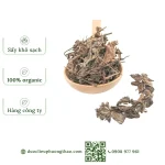 Cây nhân trần (chè cát, chè nội)