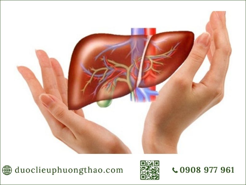 Điều trị nóng gan phụ thuộc vào những yếu tố nào?