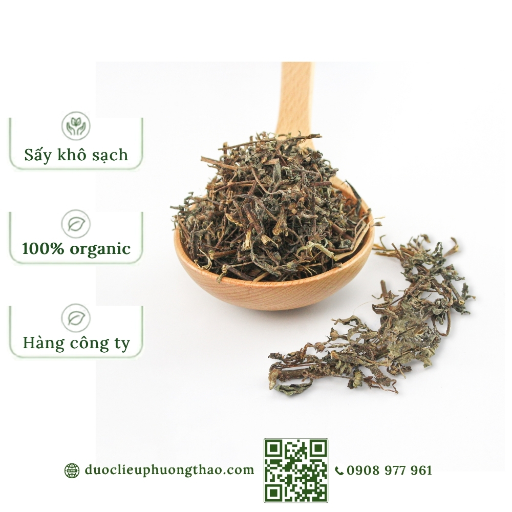 Cỏ mực (cỏ nhọ nồi, hạn liên thảo)
