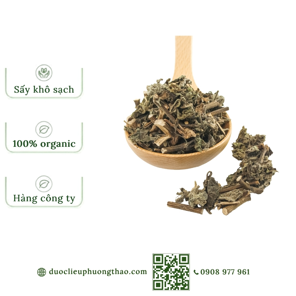 Cỏ xước (ngưu tất nam, cây bách bội)
