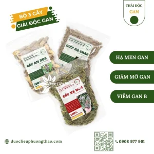 Combo gan nhiễm mỡ, men gan cao 20 ngày uống