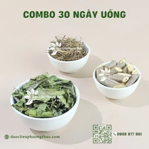 Combo gan nhiễm mỡ, men gan cao 30 ngày uống