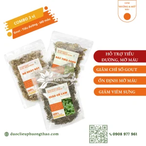 Combo hỗ trợ đường huyết, mỡ máu 20 ngày