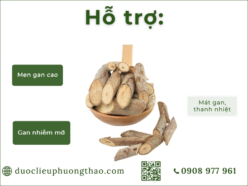 công dụng cây an xoa