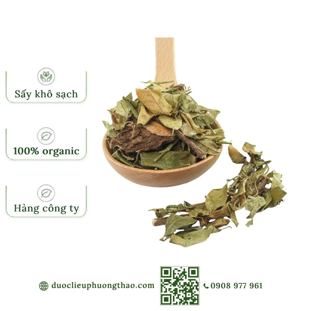 Dây thìa canh (lõa ti rừng, dây muôi)