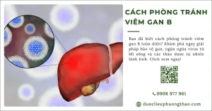 Cách phòng tránh viêm gan B nên làm gì để giảm nguy cơ lây?