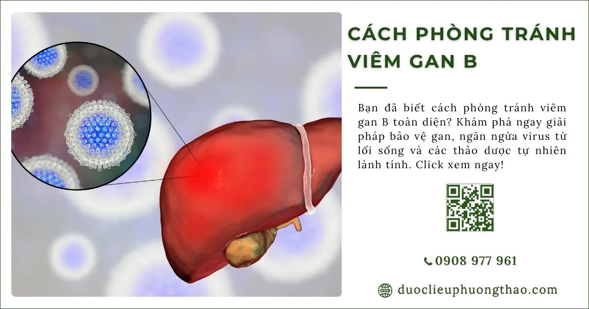 cách phòng tránh viêm gan B