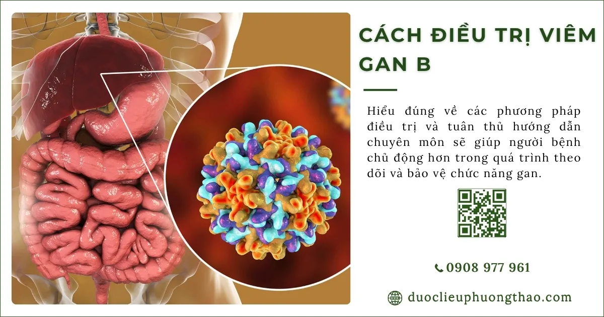cách điều trị viêm gan b