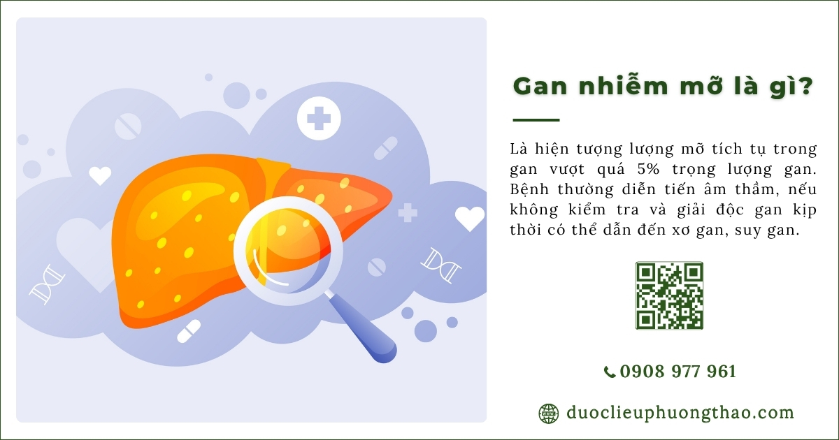gan nhiễm mỡ là gì