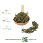 Giảo cổ lam (cỏ trường sinh, ngũ diệp sâm, sâm nam)
