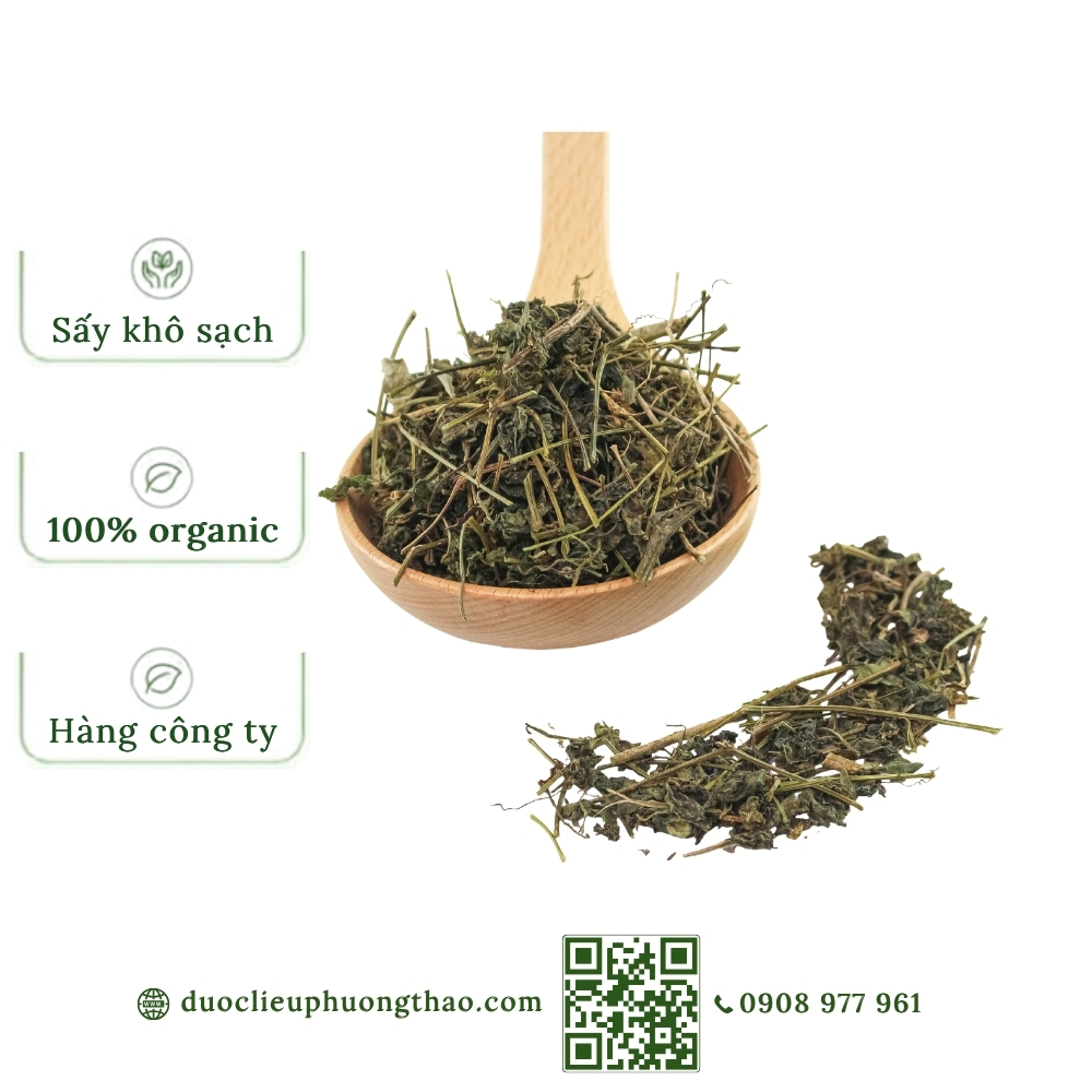 Giảo cổ lam (cỏ trường sinh, ngũ diệp sâm, sâm nam)