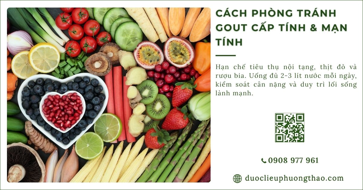 phòng tránh gout cấp tính