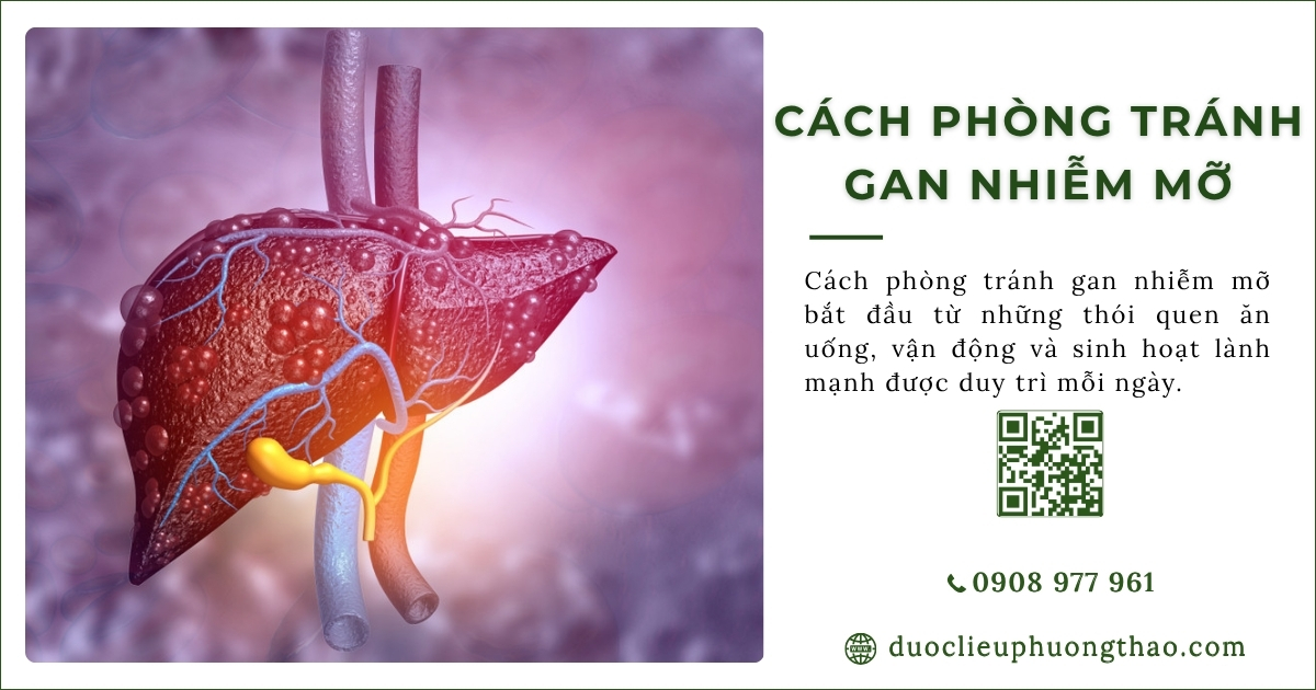 cách phòng tránh gan nhiễm mỡ