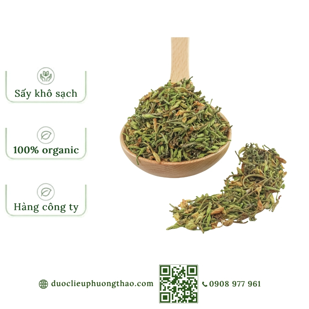 Hoa đu đủ đực (cà là, phan qua thụ)