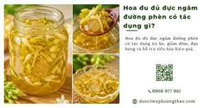 Hoa đu đủ đực ngâm đường phèn có tác dụng gì? Cách làm và lưu ý khi sử dụng
